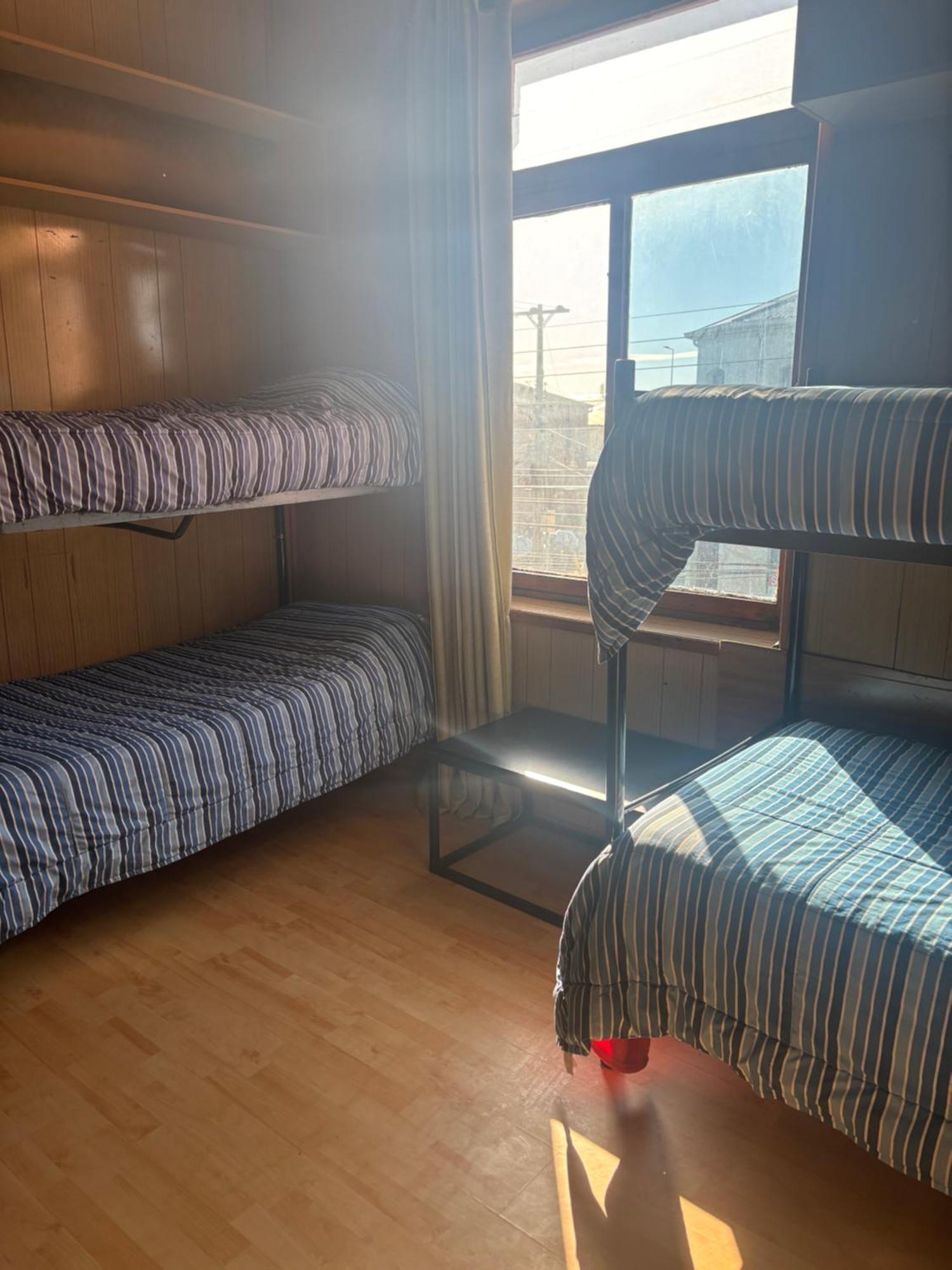Hostel La Morenita Punta Arenas Ngoại thất bức ảnh