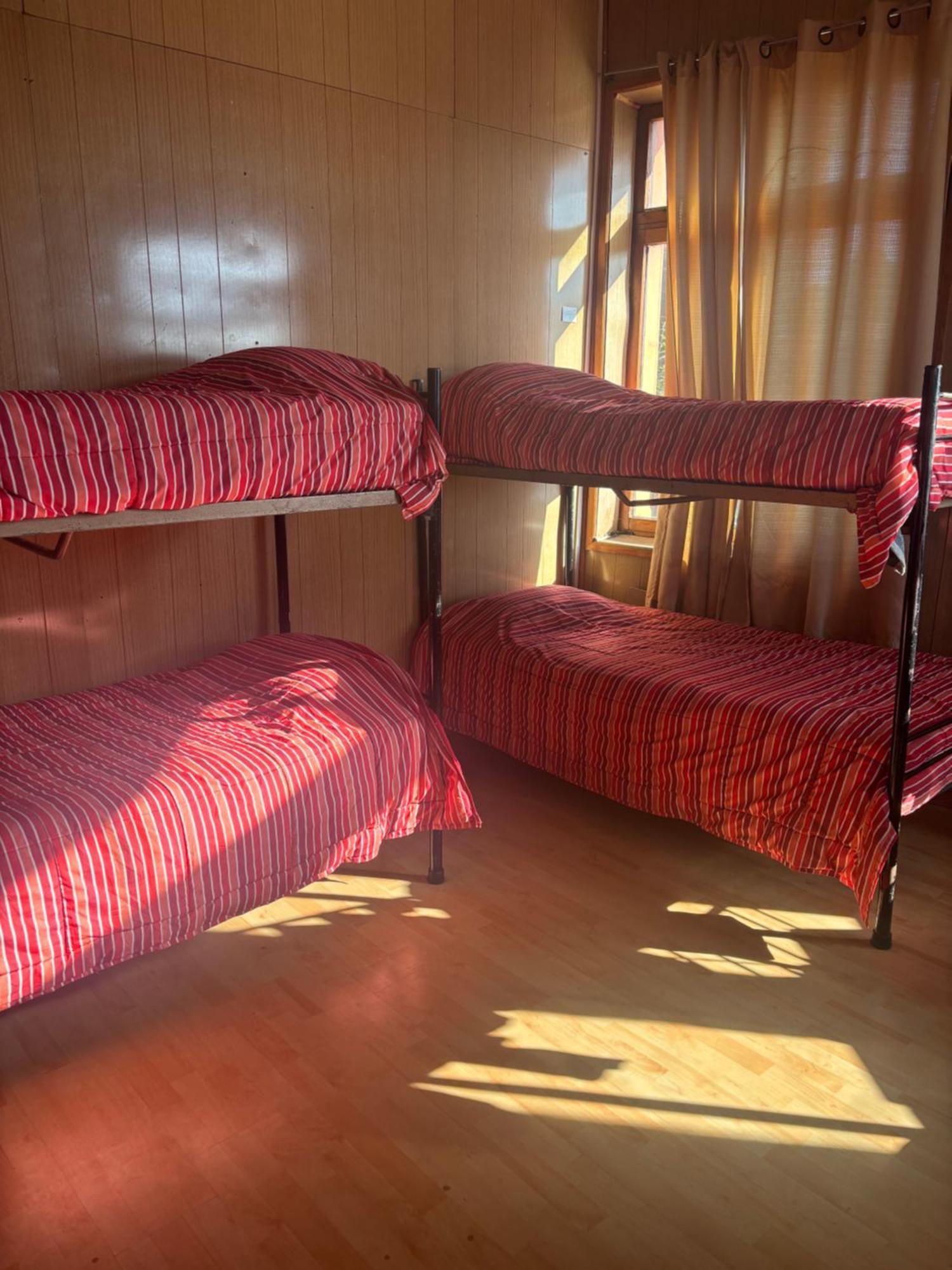 Hostel La Morenita Punta Arenas Ngoại thất bức ảnh